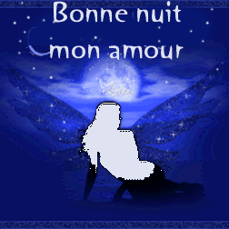 bonne nuit  mon amour